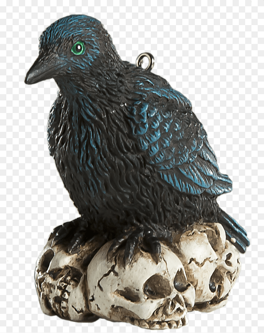 1219x1539 Raven Feather Transparent PNG