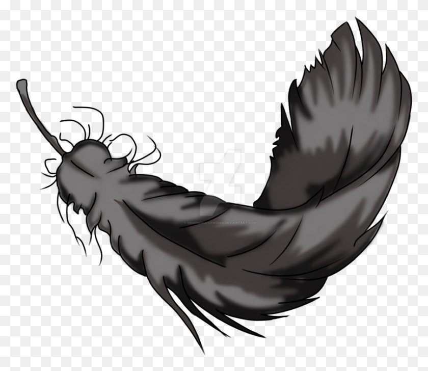 840x720 Raven Feather Transparent Raven Feather, Animal, Invertebrate, Insect HD PNG Download