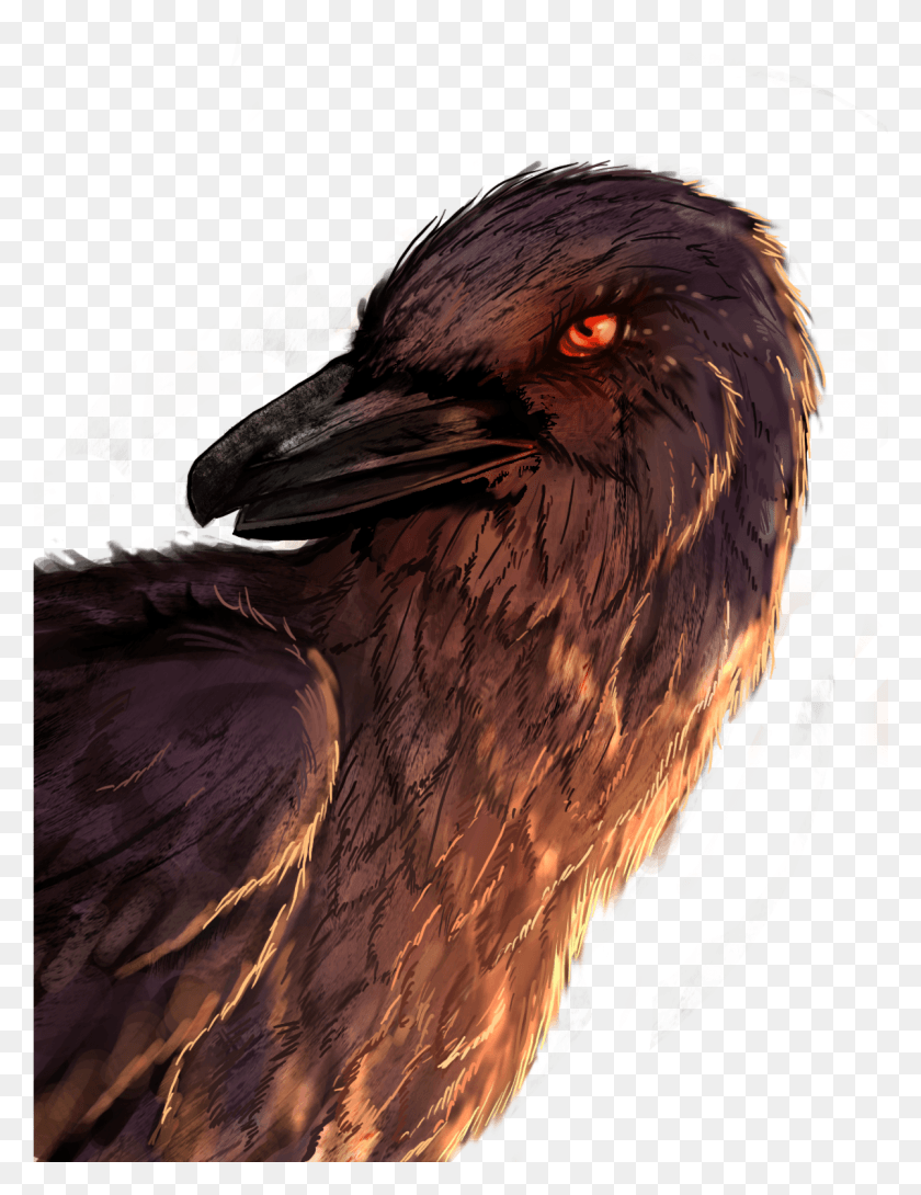 1201x1586 Raven Seabird, Bird, Animal, Eagle HD PNG Download