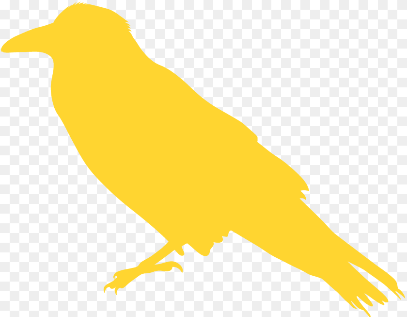 1920x1492 Raven Silhouette, Animal, Bird, Canary, Fish PNG