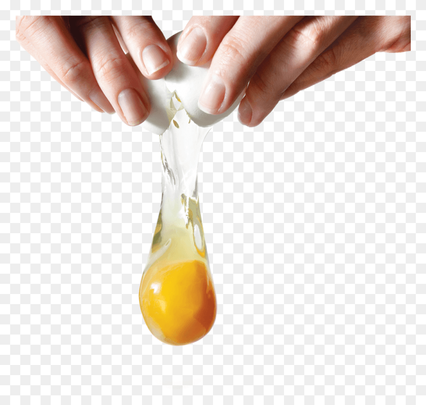 1001x949 Raw Egg Yolk, Person, Human, Plant HD PNG Download