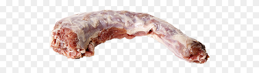 521x179 Raw Meaty Bones For Dogs, Ornament, Gemstone, Jewelry HD PNG Download