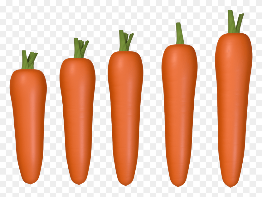 1456x1069 Rbano Zanahoria C4d Y Psd Carrot, Plant, Vegetable, Food HD PNG Download