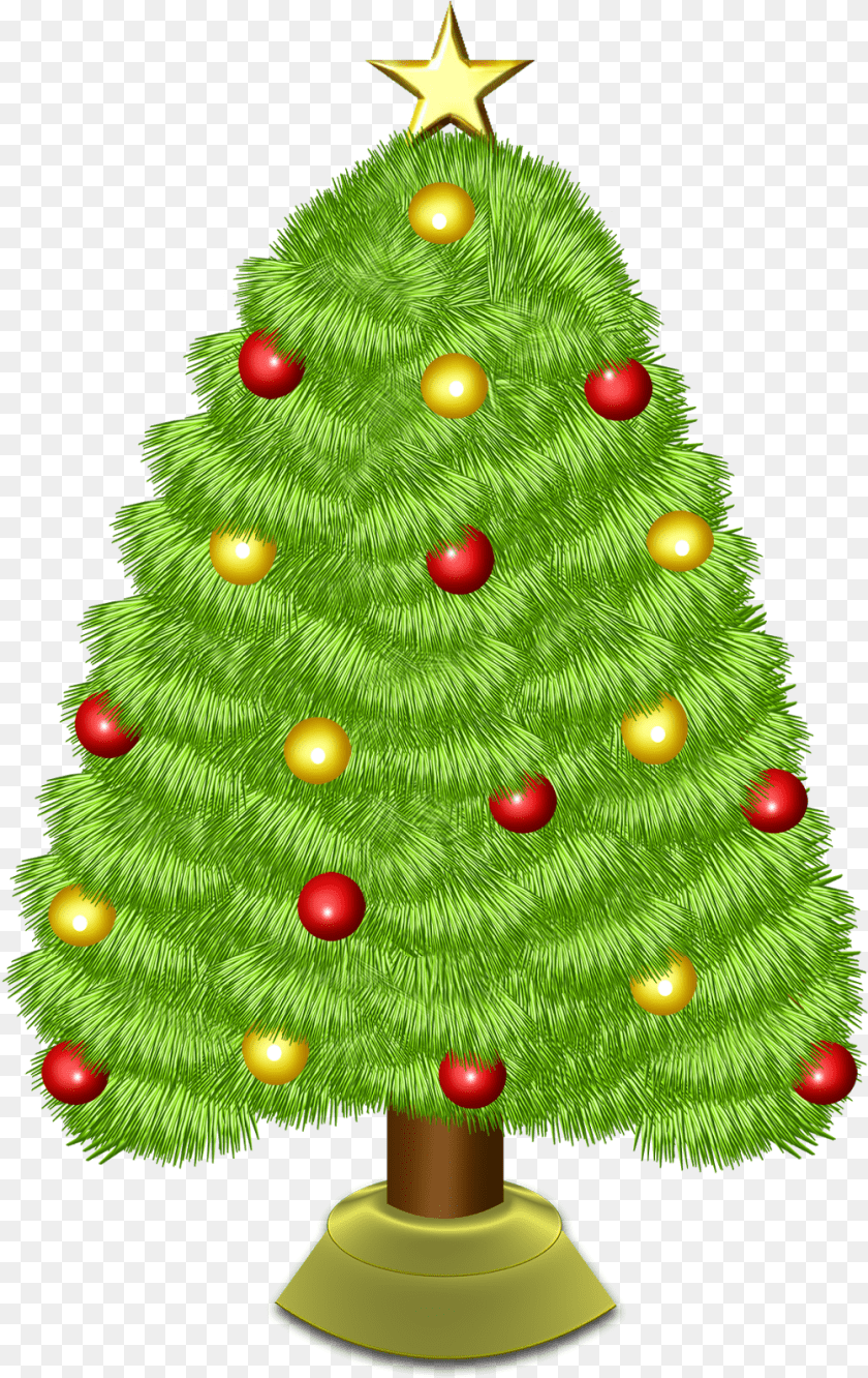 1003x1590 Rbol De Navidad, Plant, Tree, Christmas, Christmas Decorations PNG