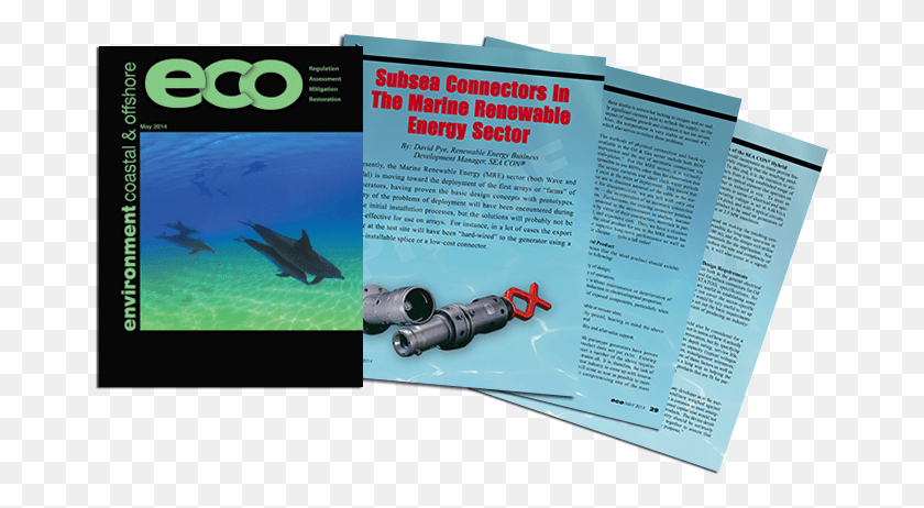 667x402 Read About Seacon In The Renewable Energy Sector In Carcharhiniformes, Poster, Advertisement, Flyer HD PNG Download