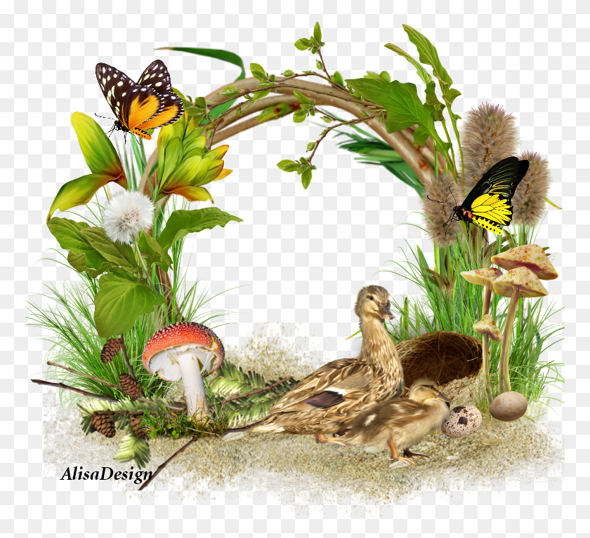 769x707 Иллюстрация, Птица, Животное, Растение Hd Png Скачать