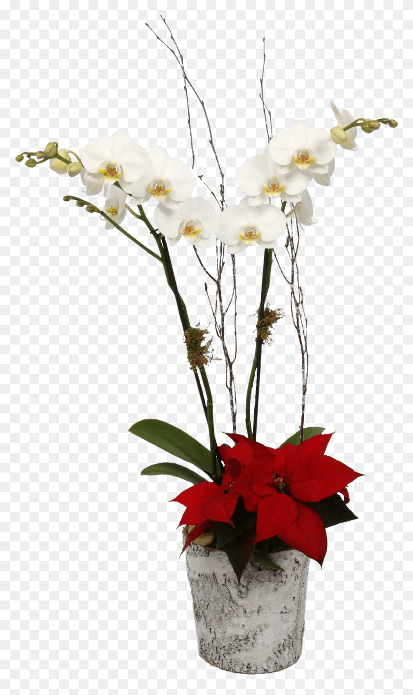 1012x1755 Готов Подарить Искусственный Цветок, Растение, Цветение, Цветочная Композиция Hd Png Скачать