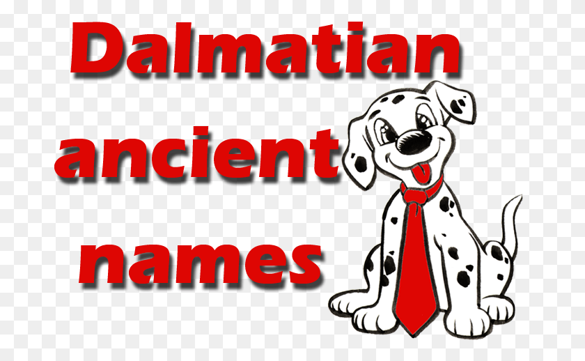 686x458 Real And Unique Ancient Dalmatian Names Good Dalmatian Dog Names, Text, Label, Performer Descargar Hd Png