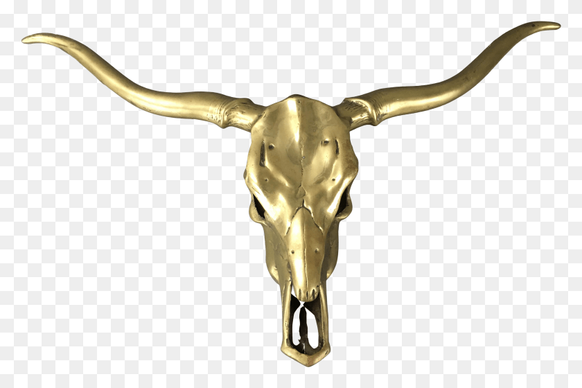 3663x2352 Real Bull Skull Wall Decor Buffalo Bull, Longhorn, Cattle, Mammal HD PNG Download