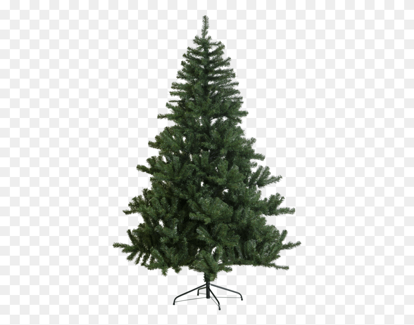 385x601 Real Christmas Tree Plain, Tree, Plant, Ornament HD PNG Download