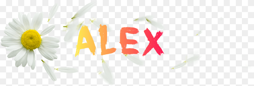 838x285 Real Editor Alex Flower Logo Camomile, Anther, Daisy, Petal, Plant Clipart PNG