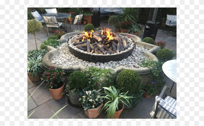 615x461 Real Flame Ivy Chelsea Garden Fire, Yard, Outdoors, Nature HD PNG Download