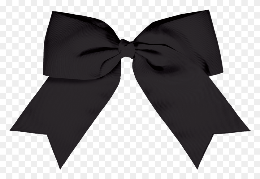 1172x781 Real Hair Bow Ribbon, Tie, Accessories, Accessory HD PNG Download