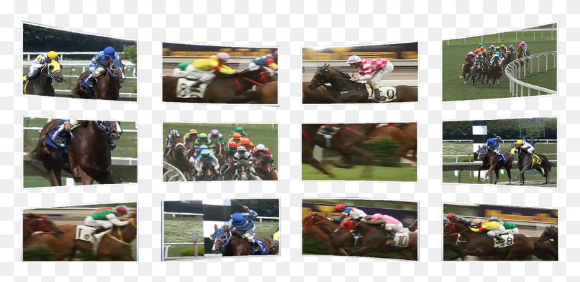 1240x555 Real Horses Real Races Real Money Winnings Flat Racing, Horse, Mammal, Animal HD PNG Download