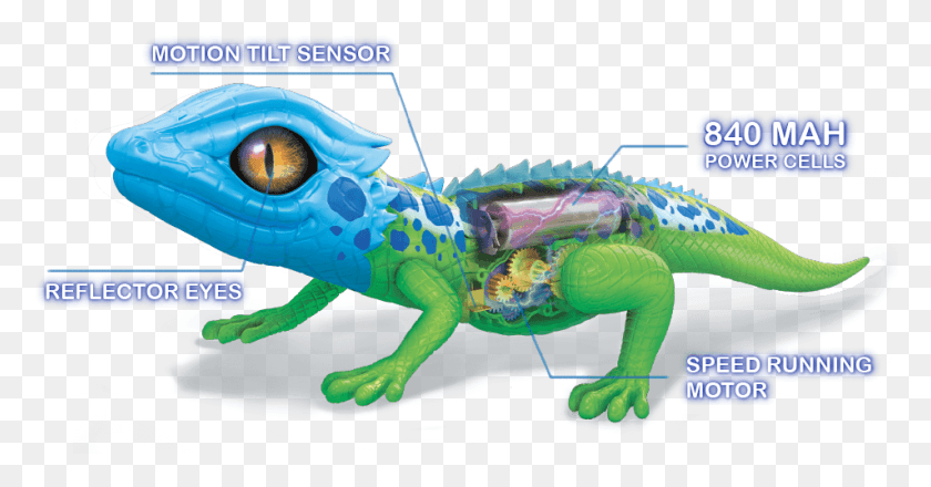 953x465 Real Life Pets Robo Alive Lizard Batteries, Dinosaur, Reptile, Animal HD PNG Download