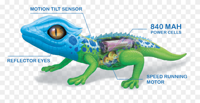 940x452 Real Life Pets Robo Alive Lizard Batteries, Dinosaur, Reptile, Animal HD PNG Download