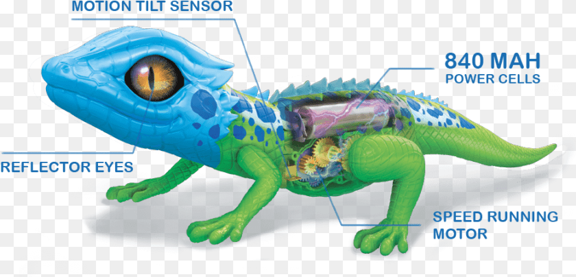 940x452 Real Life Pets Robot Lizard, Animal, Gecko, Reptile, Fish Sticker PNG