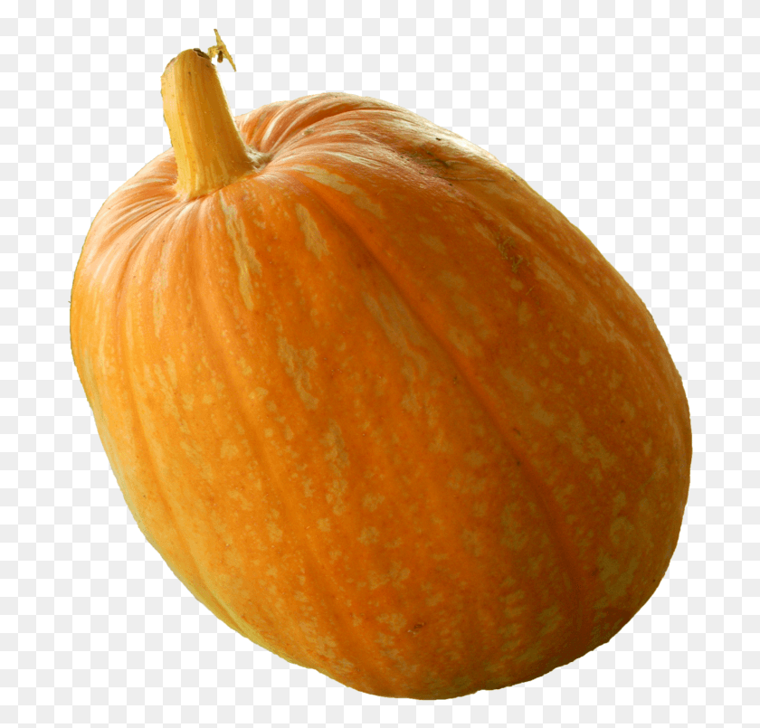 692x745 Real Pumpkin Transparent Image Gourd, Plant, Orange, Citrus Fruit HD PNG Download