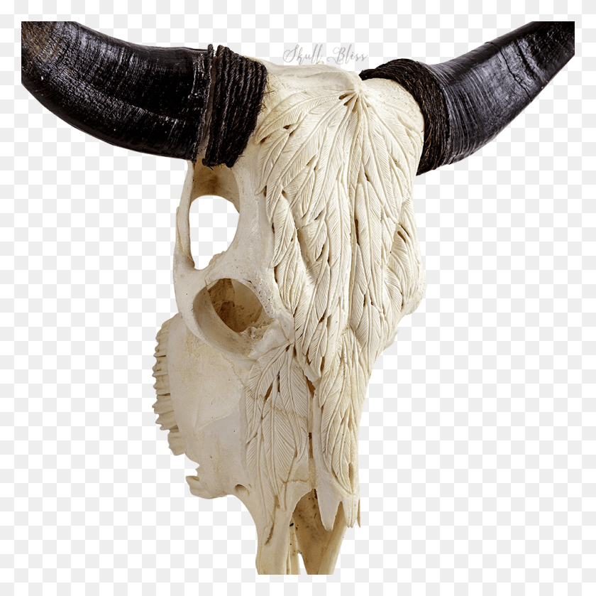 1000x1000 Real Skull For Kids Ox, Bull, Mammal, Animal HD PNG Download