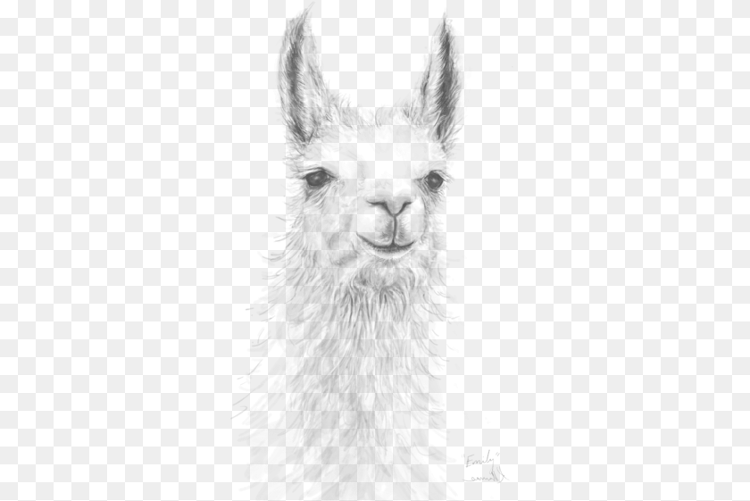 329x561 Realistic Alpaca Drawing With Llama, Outdoors, Nature, Snow, Snowman PNG