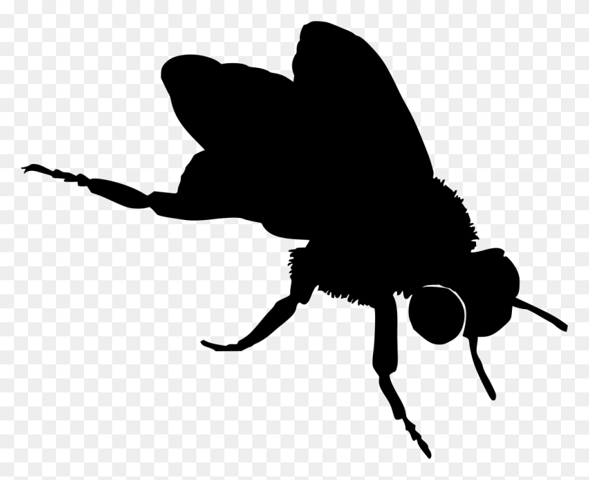 1024x821 Realistic Bee Black And White Clipart, Gray, World Of Warcraft HD PNG Download