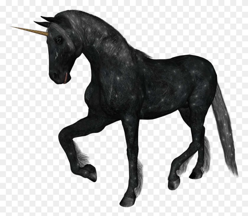 999x861 Realistic Black Unicorn, Horse, Mammal, Animal HD PNG Download