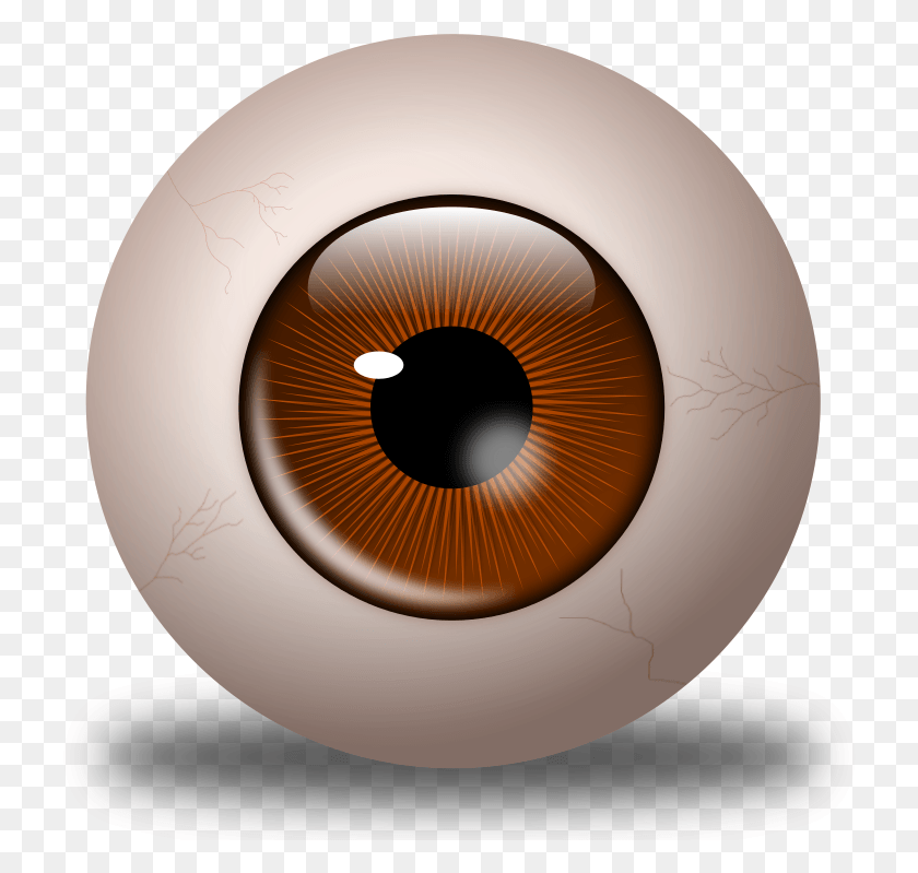 742x739 Realistic Clipart Brown Eyeball Brown Eyeball, Lamp, Sphere, Hole HD PNG Download