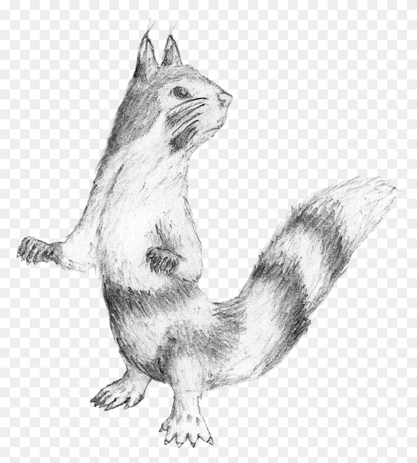 962x1076 Realistic Furret Study Sketch, Animal, Mammal, Horse HD PNG Download