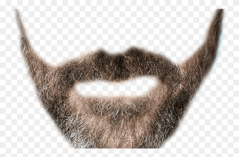 760x492 Realistic Mustache Transparent Background Much Dadhi, Face, Beard HD PNG Download