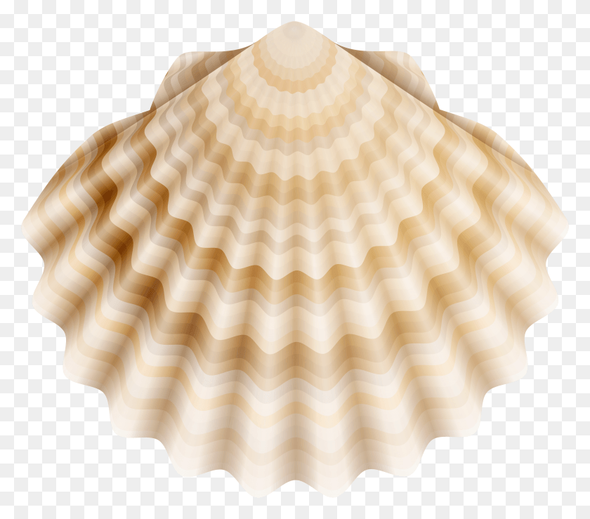 4789x4175 Realistic Shell Clip Art Marine Shells HD PNG Download