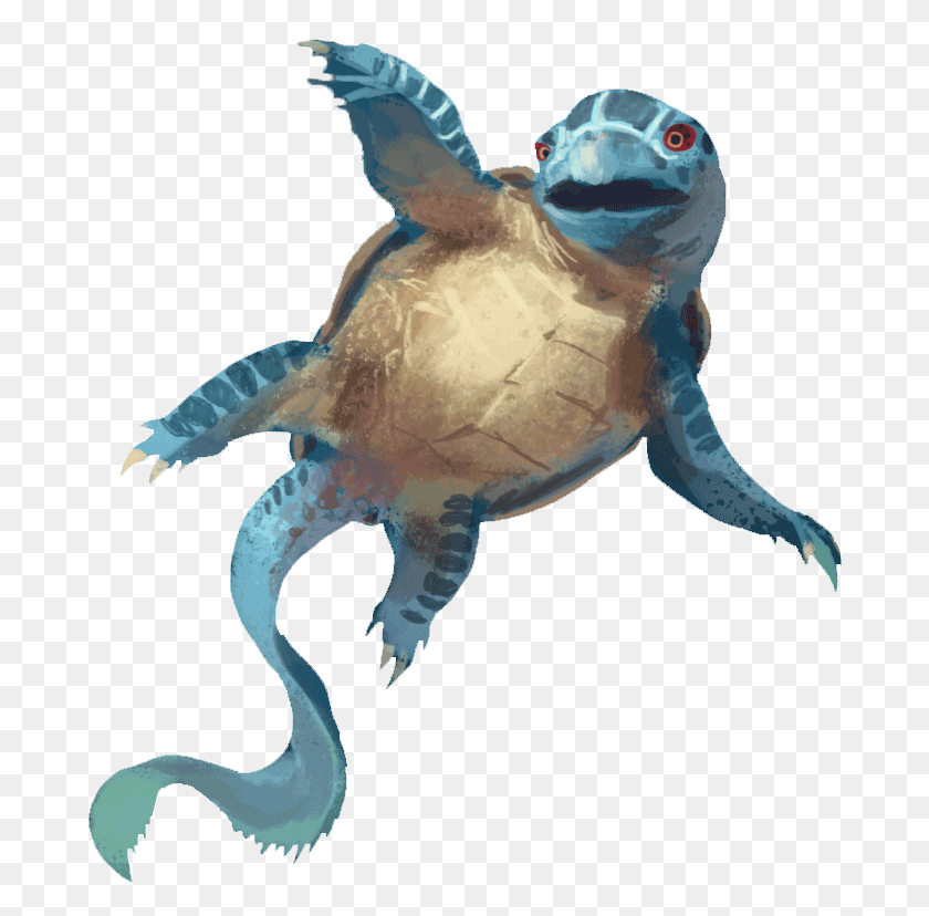 682x768 Realistic Squirtle Squirtle Real Life, Sea Turtle, Turtle, Reptile HD PNG Download