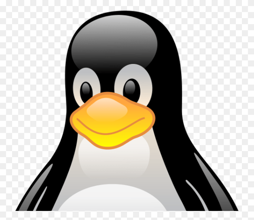 747x668 Descargar Png Razones Por Las Que El Código Abierto Se Está Tomando El Control De Enterprise Linux Penguin Png