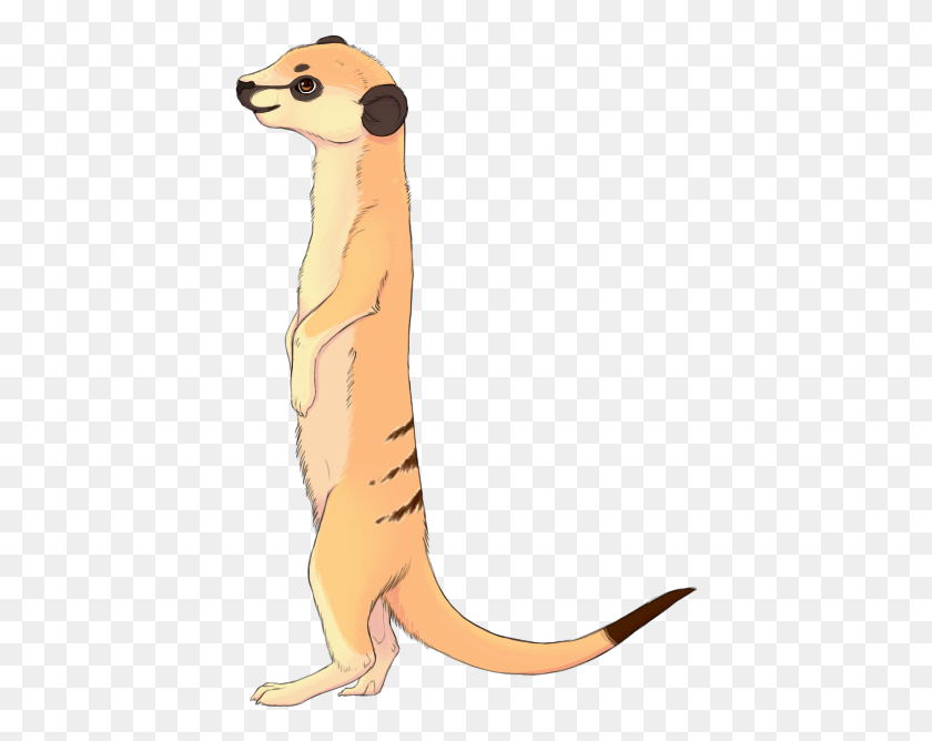 418x608 Recent Images Meerkat, Animal, Person, Human HD PNG Download