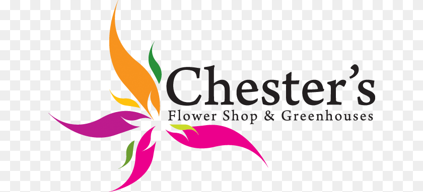 Receptions, Art, Floral Design, Graphics, Pattern Transparent PNG