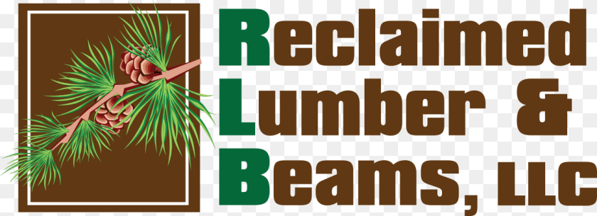 Reclaimed Lumber Amp Beams Logo Illustration, Conifer, Plant, Tree, Larch Transparent PNG