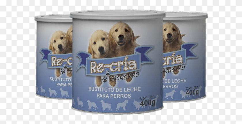 608x372 Recra Cachorro Dogs, Dog, Pet, Canine HD PNG Download