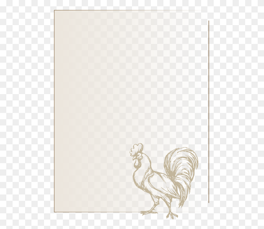 498x670 Recuadro 004 Rooster, Chicken, Poultry, Fowl HD PNG Download