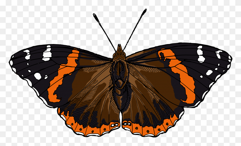 3181x1840 Red Admiral Butterfly Illustration, Insect, Invertebrate, Animal HD PNG Download