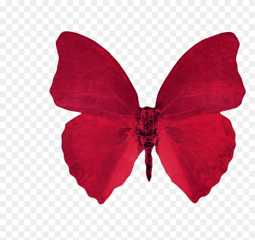 1038x970 Красная Эстетическая Прозрачная Красная Бабочка, Лепесток, Цветок, Растение Hd Png Скачать