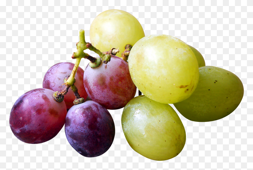 1484x961 Red And Green Grapes Image Red And Green Grapes, Plant, Fruit, Food HD PNG Download