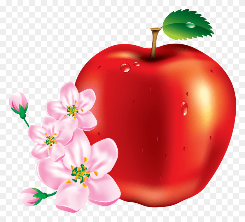 1024x918 Red Apple Vectors Fruits Vector, Plant, Fruit, Food HD PNG Download