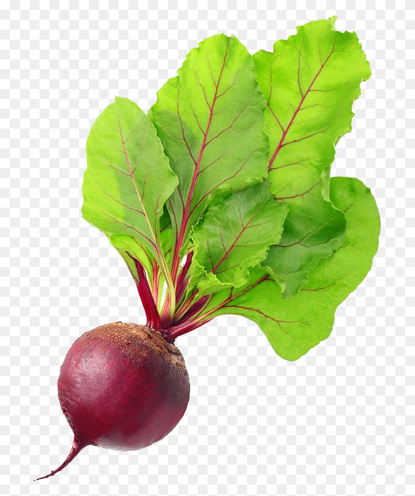 706x943 Red Beet Root Physical Material Beetroot, Plant, Vegetable, Food HD PNG Download