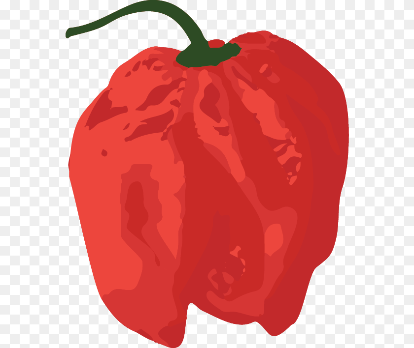 575x708 Red Bell Pepper Clipart Download Red Bell Pepper, Food, Produce, Bell Pepper, Plant Transparent PNG