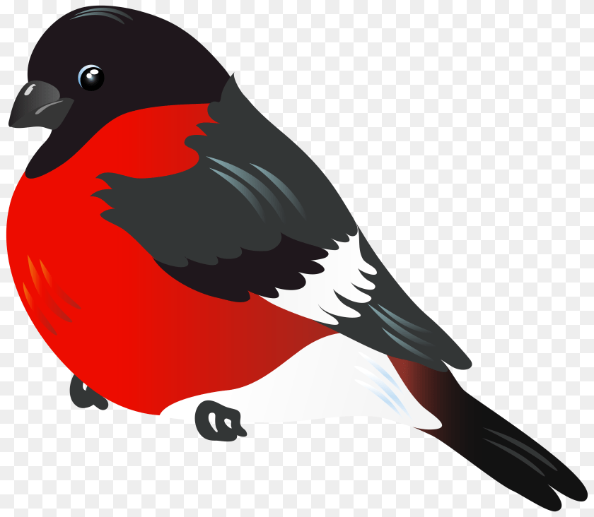 Red Bird Clipart, Animal, Finch, Beak, Fish PNG