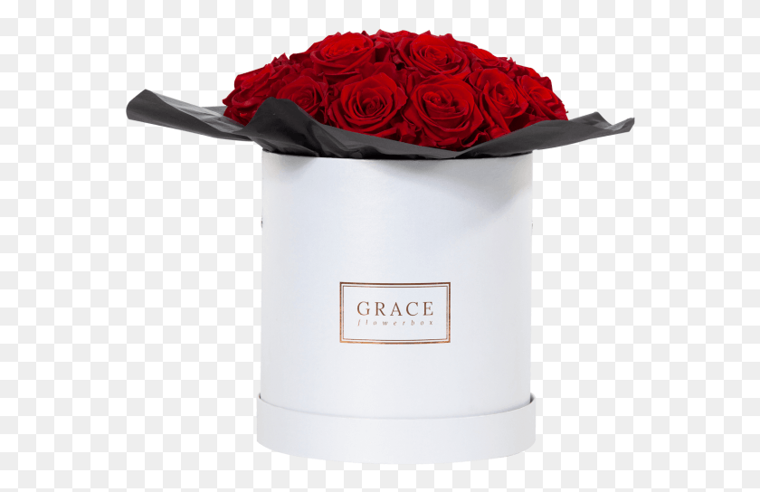 564x484 Красный Букет, Растение, Роза, Цветок Hd Png Скачать