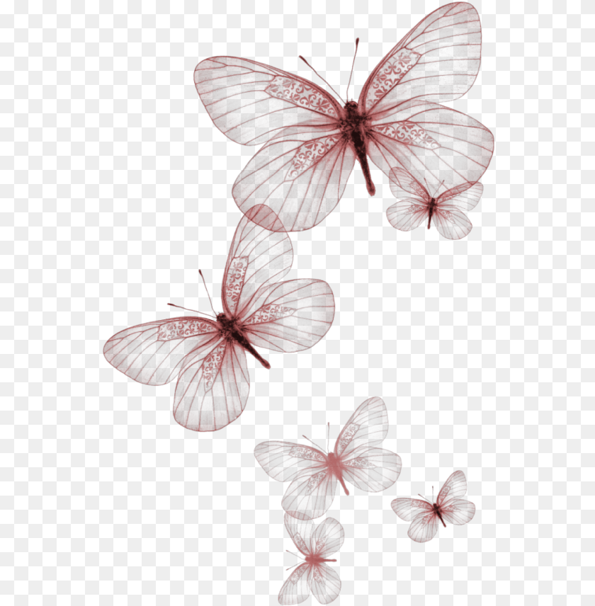 Red Butterflies, Maroon, Plant Sticker PNG