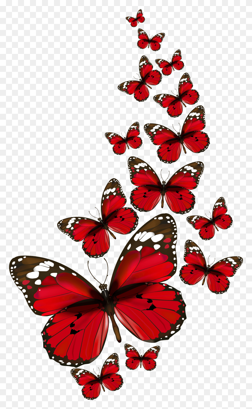 2366x3964 Red Butterfly, Insect, Invertebrate, Animal HD PNG Download