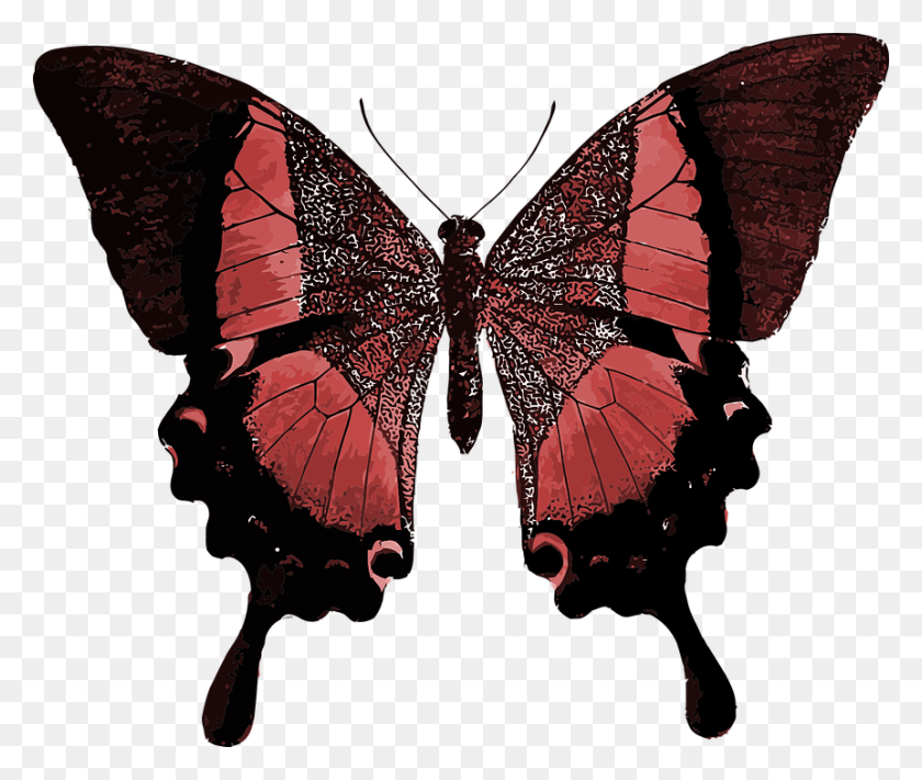 862x720 Descargar Png Mariposa Roja Colorido Bonito Animal Insec Su Tiempo Como Oruga Ha Caducado Sus Alas Son, Patrón, Adorno, Fractal Hd Png