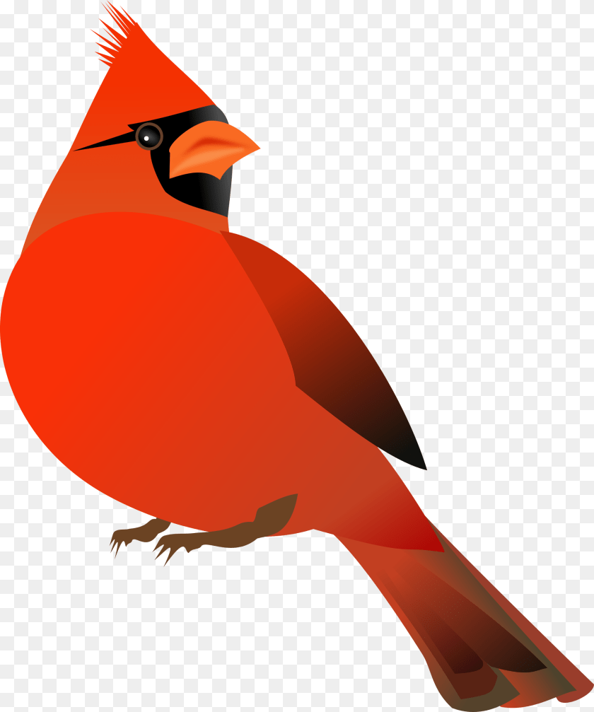 2001x2400 Red Cardinal Icons, Animal, Bird, Adult, Female PNG