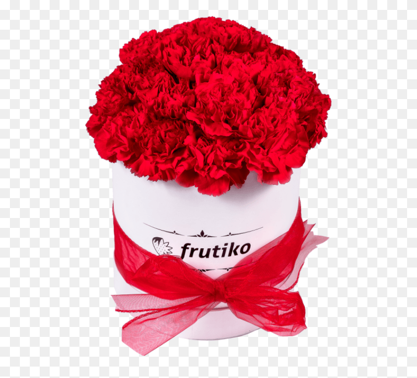 499x703 Red Carnations White Oval Box Begonia, Plant, Carnation, Flower HD PNG Download